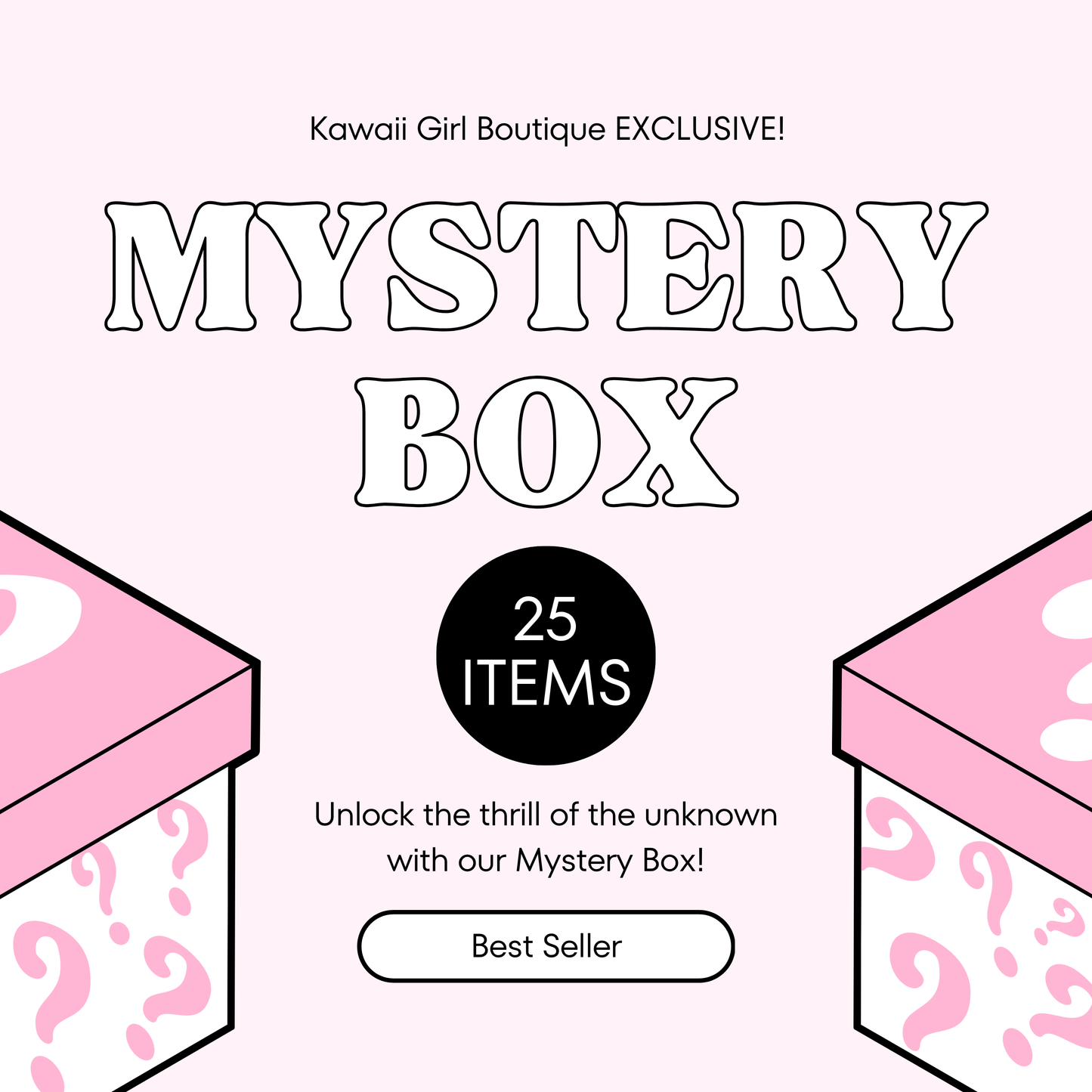 Sanrio Mystery Box - 25 Items